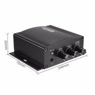 ELEGIANT 30W + 30W High Power Enthusiast Desktops Pure Digital Hi-Fi Stereo Amplifier for Car Home Motorcycle...