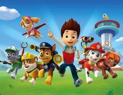 PAW PATROL Edible Image Photo Cake Topper Sheet Birthday Party - 1/4 Sheet Topper - 14498