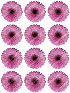 Cakeshop 12 x PRE-CUT Pink Gerbera Flowers Edible Cake Toppers