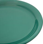 Carlisle Durus Narrow Rim Melamine Plates N44