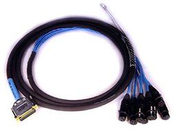Avid DB25-XLRF DigiSnake - 4'