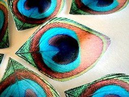 12 Edible Peacock Feathers Pre-cut 2.5&quot; Edible Feathers Decor Eyes Teal Blue Green - Perfect for Wedding Cakes... N2