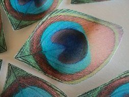 12 Edible Peacock Feathers Pre-cut 2.5&quot; Edible Feathers Decor Eyes Teal Blue Green - Perfect for Wedding Cakes... N3