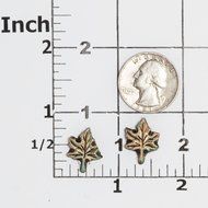 Tiny Maple Leaf Silicone Mold use with Fondant, Candy, Chocolate, Food Safe, Polymer Clay, Resin Mold, Epoxy Perfect... N2