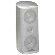 Infinity TSSSAT1100 (Ea) Platinum 2-Way Dual 3.5 Inch Satellite Speaker with MMD Drivers