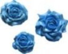 Roses Galore Silicone Mold