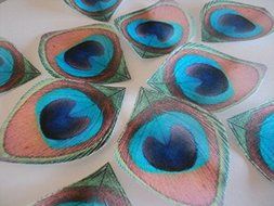 12 Edible Peacock Feathers Pre-cut 2.5&quot; Edible Feathers Decor Eyes Teal Blue Green - Perfect for Wedding Cakes... N5