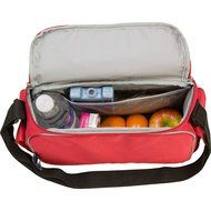 Big Dots Aqua Lunch Cooler N6