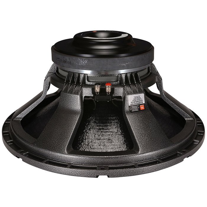 SELENIUM 18SWS800 High-Power Professional Subwoofer