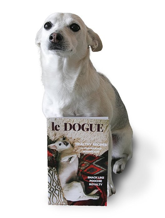 2-Pack Food Grade Silicone Dog Paw and Bone Molds With Recipe Booklet N4