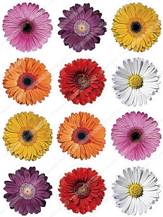 Cakeshop 12 x PRE-CUT Mixed Color Gerberas Edible Cake Toppers
