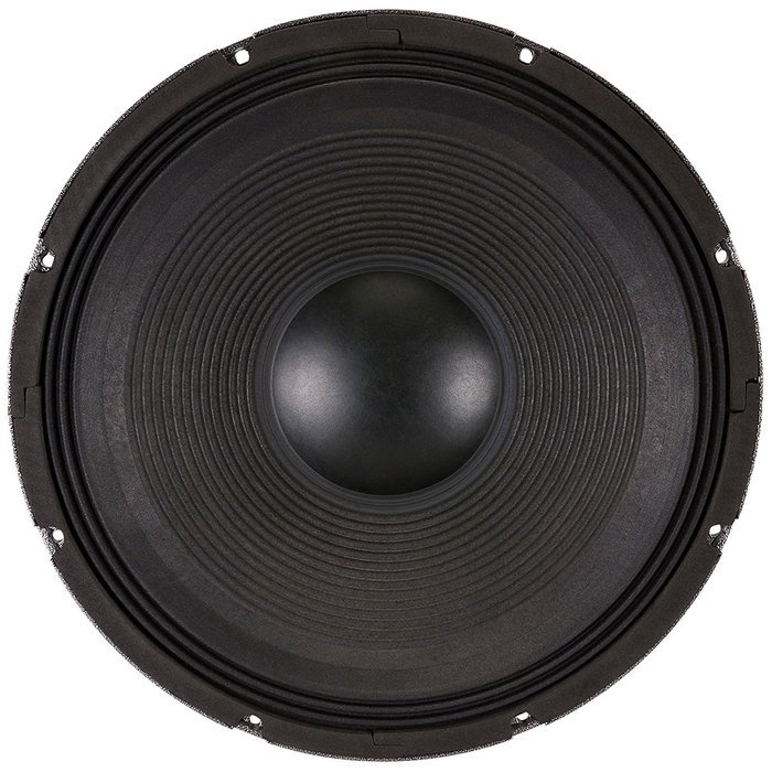 SELENIUM 18SWS800 High-Power Professional Subwoofer N2