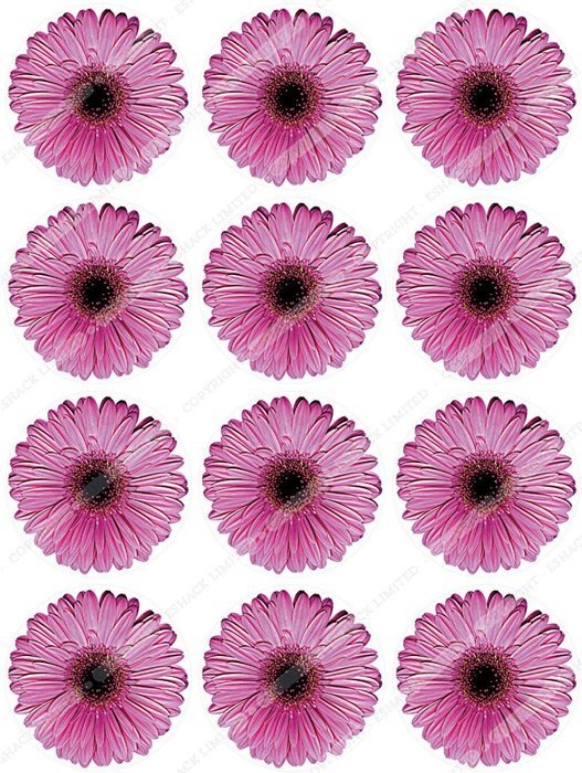 Cakeshop 12 x PRE-CUT Pink Gerbera Flowers Edible Cake Toppers
