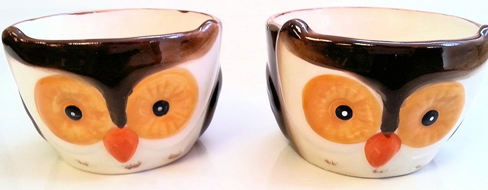 Set of 2 Owl Ceramic Ramekins, Dessert Bowl Dishes