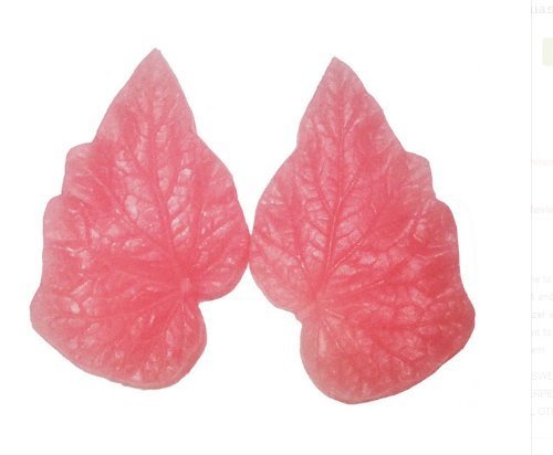 Oasis Supply 3D Begonias Veiner Mold, Silicone