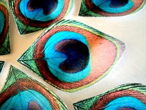 12 Edible Peacock Feathers Pre-cut 2.5" Edible Feathers Decor Eyes Teal Blue Green - Perfect for Wedding Cakes... N2