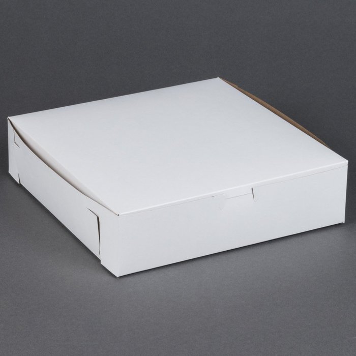 Lot of 10 Bakery or Cake Box WHITE 10x10x2-1/2 N3