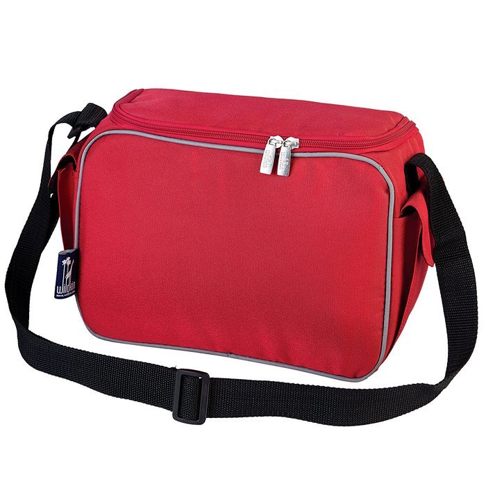 Big Dots Aqua Lunch Cooler N5