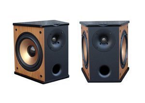 Premier Acoustic PA-8S Surround Speakers
