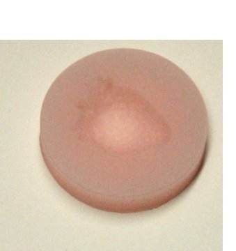 Oasis Supply Strawberry Mold, Silicone