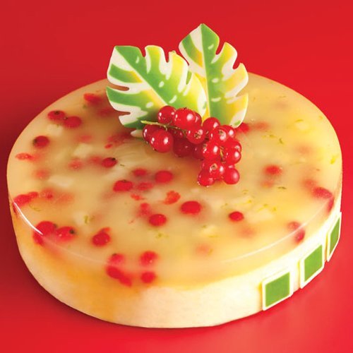 Pavoni Pavocake Silicone Mold 180mm x 45mm High N4