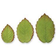 PME RLL660 Plunger Cutters, Veined Rose Leaf N3