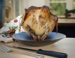 Upright Chicken Roaster, American Made Stoneware Pottery, 11-inch N4