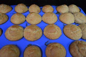 Premium Silicone Mini Muffin Pan,non Stick,non-bpa, Food Grade with Heat Resistant Upto 450&deg;f,microwave, Freezer... N11