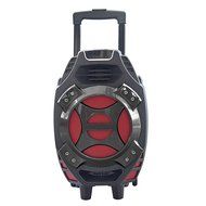 8" Portable Bluetooth DJ Speaker