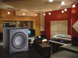 Thonet and Vander SW10 - Wooden Subwoofer Speakers - German Engineering and Design N3