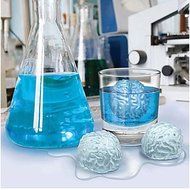 Y&amp;XL&amp;H Creative Brain Shaped Ice Tray Mold (Random Colors) N4