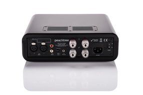 Peachtree Audio sonaAMP 300-watt Stereo Balanced Power Amplifier N5