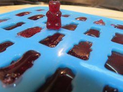 Status Kitchen 50 Cavity Gummy Bear Candy Mold WITH EASY FILL JELLO SHOT SYRINGE. 50 Mini Gummy Candy Bears or... N2