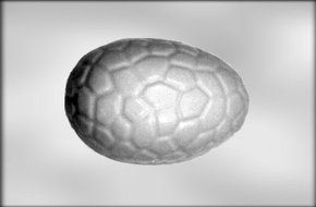 CK Products 5-1/2" Cracked Egg-3D Choc Mold