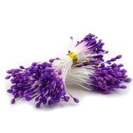 MuLuo Flower Double Tips Pearl Flower Stamen Floral Stamen Cake Decotaion N10