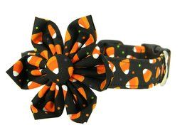 Halloween Flower Dog Collar/ Candy Corn Dog Collar and Flower by The Petal &amp; Bow (Candy Corn)