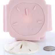 Sand Dollar Silicone Mold Food Safe Fondant, Chocolate, Candy, Resin, Polymer Clay, Soap, Craft, Jewelry Food... N6