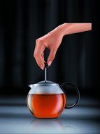 Bodum Assam 17-Ounce Tea Press N10