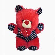DCS (Bhodu) Teddy Soft Toy(,37Cm) Medium Multicolor