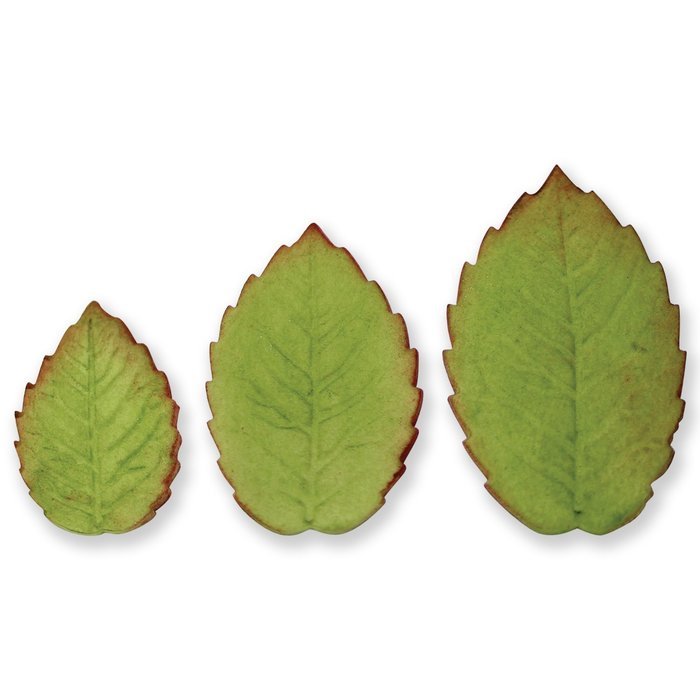 PME RLL660 Plunger Cutters, Veined Rose Leaf N3