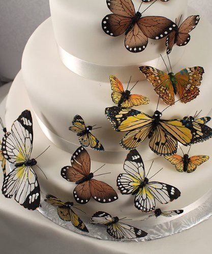 Beautiful Butterfly Cake Sets - Natural Elegance
