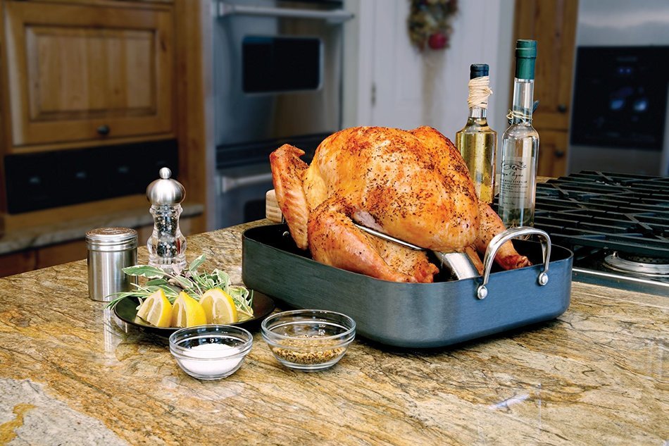 Camp Chef, Sante Series Turkey Cannon Infusion roaster indoor/outdoor TKYC
