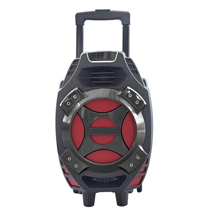 8" Portable Bluetooth DJ Speaker