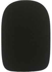 Electro Voice WSPL-2