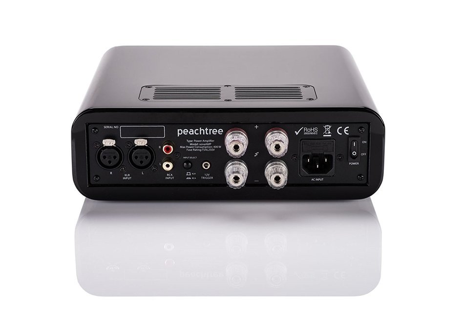 Peachtree Audio sonaAMP 300-watt Stereo Balanced Power Amplifier N5