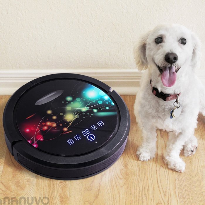 Infinuvo CleanMate QQ6 Robotic Vacuum Cleaner, HEPA Filter (Complete Set) w/ Bonus: Premium Microfiber Cleaner... N2