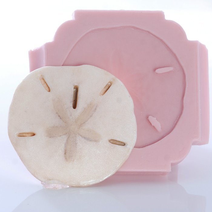 Sand Dollar Silicone Mold Food Safe Fondant, Chocolate, Candy, Resin, Polymer Clay, Soap, Craft, Jewelry Food... N5