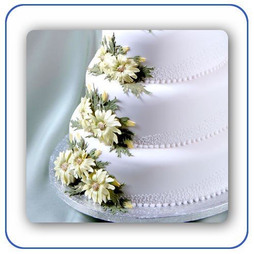 Large Daisies Patchwork Cutter N2