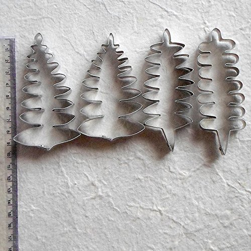 Set of Silicone mold Fern Leaf and 4 cutters