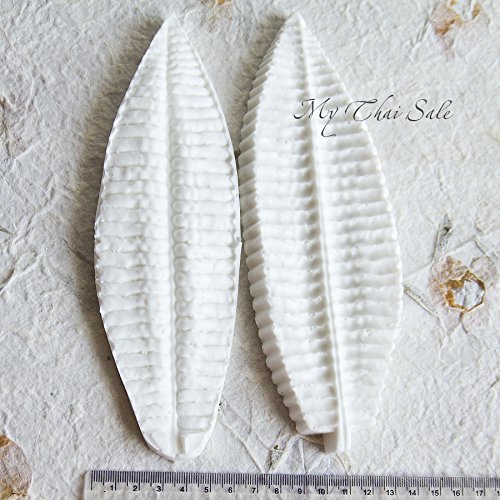 Set of Silicone mold Fern Leaf and 4 cutters N2